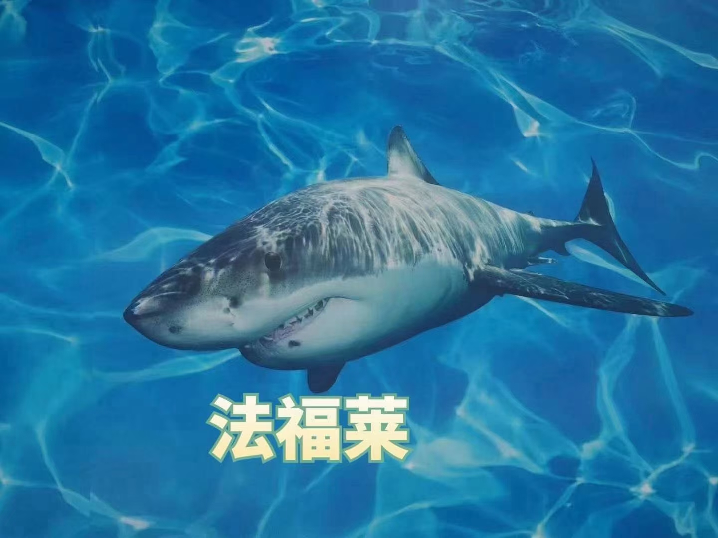 關(guān)于PVC地板的幾項錯誤認(rèn)知，您有過嗎【騰方PVC地板】